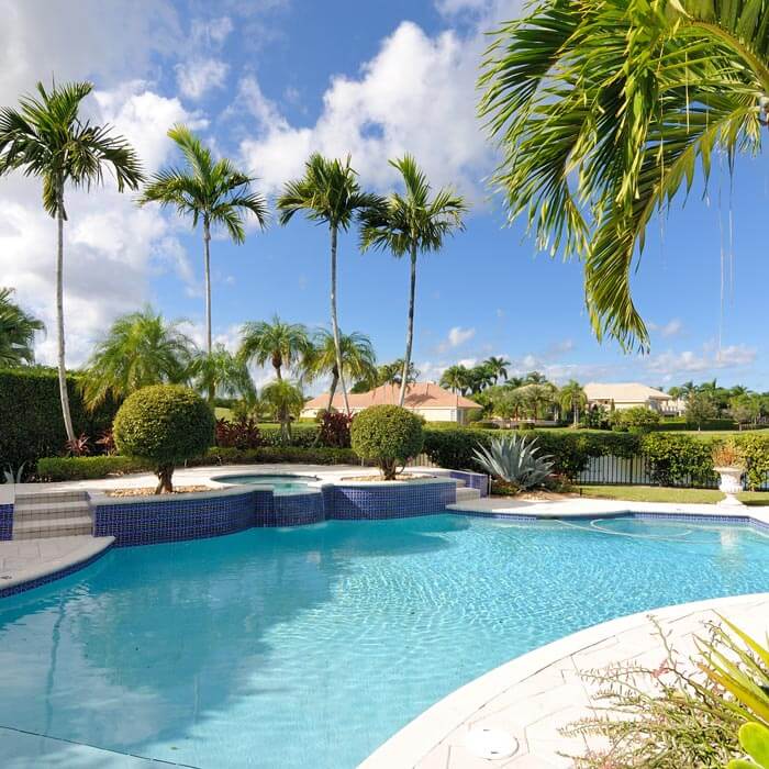 luxury pool in backyard with palm trees