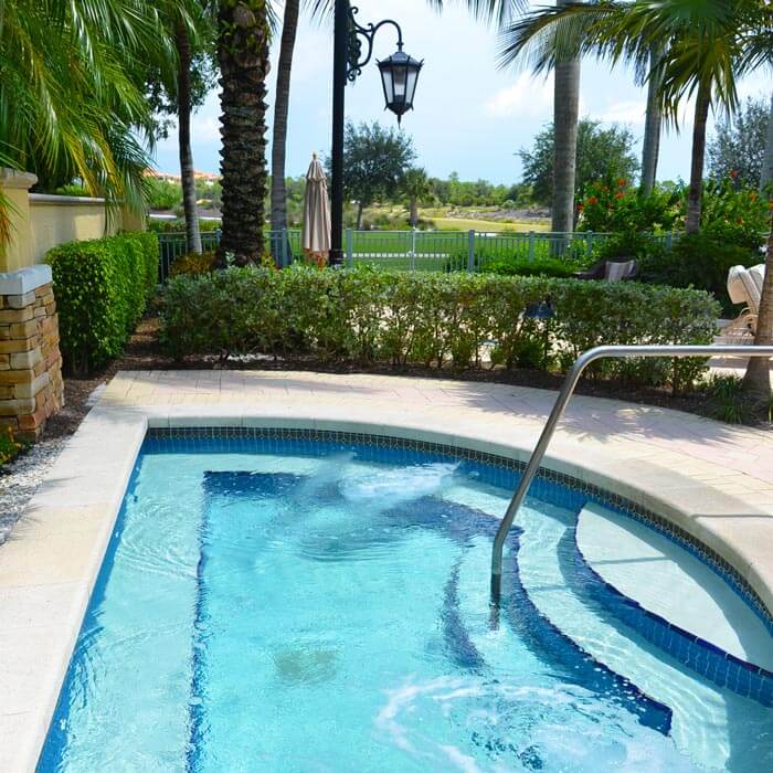 plunge pool in backyard with palm trees