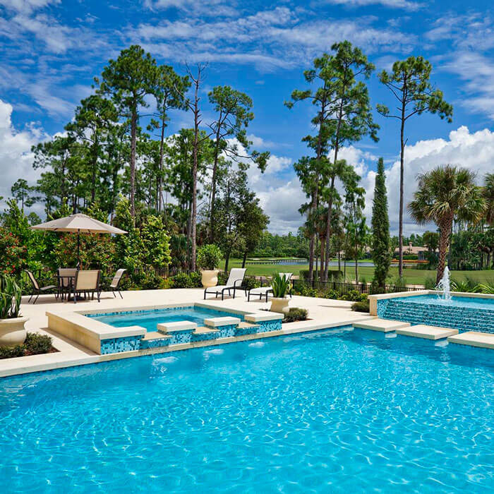 luxury pool in backyard with palm trees